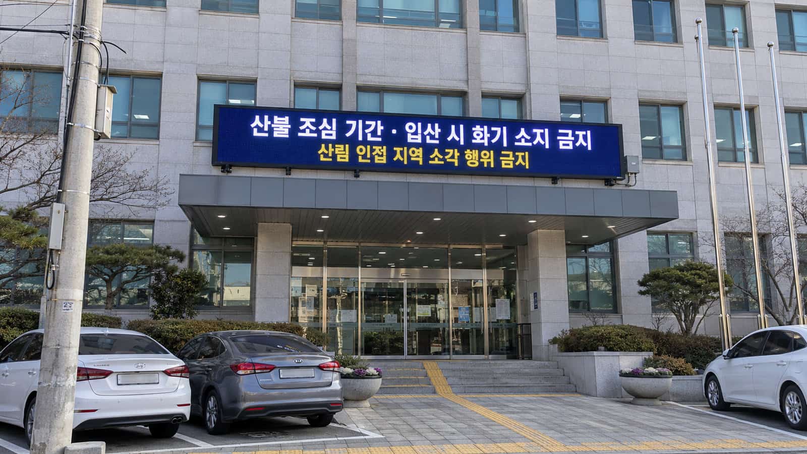 구청 현관 캐노피 위 가로형 LED 전광판에 산불 조심 기간 입산 시 화기 소지 금지 안내가 표시된 낮 장면