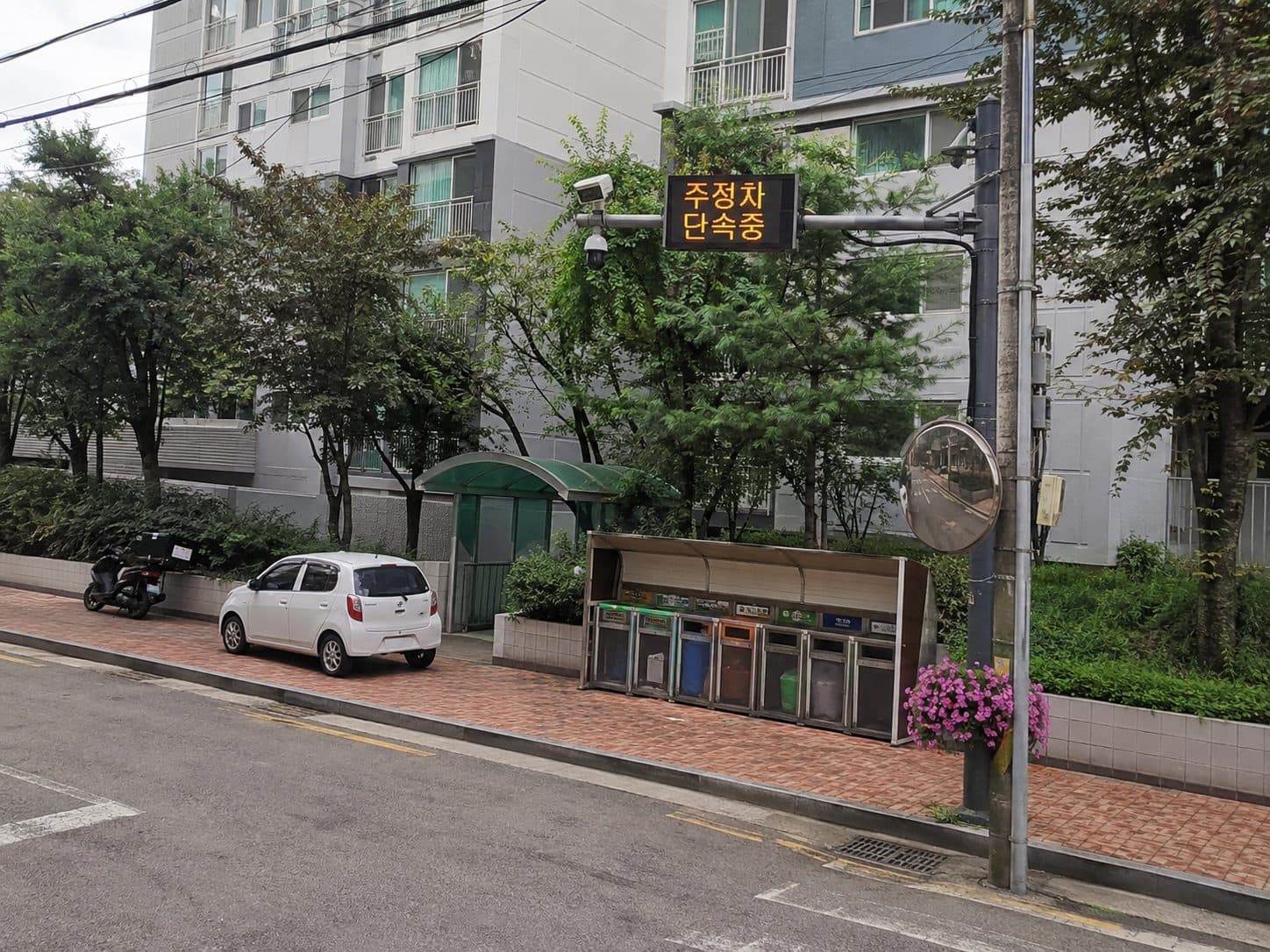 설치 예정 지점의 지주와 주변 조건을 확인하는 현장 실측 장면